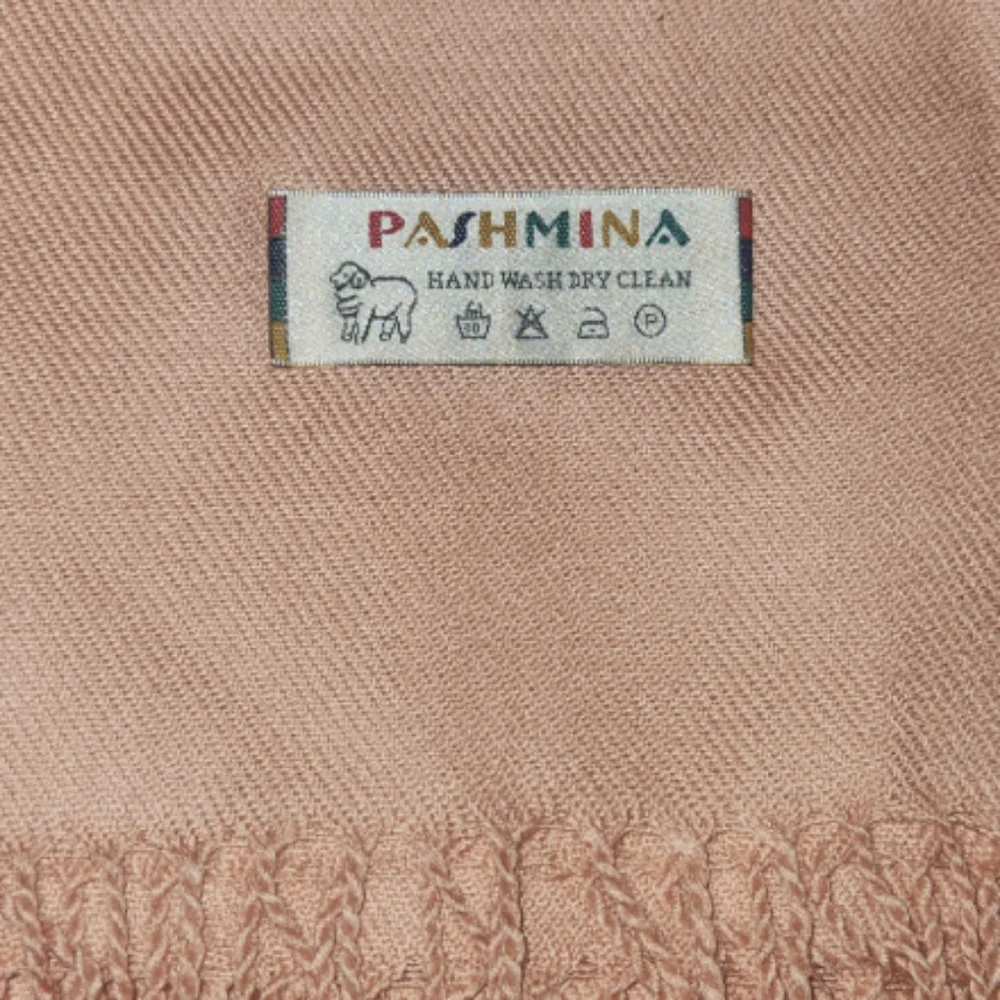 Pashmina Scarf Wrap Shawl‎ Tasseled Pastel Paisley 32